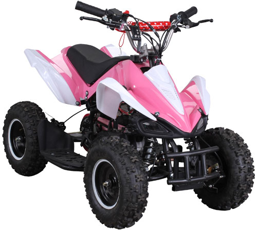 Mini Kinder ATV 49 cc Racer Mini Kinder ATV 49 cc Racer