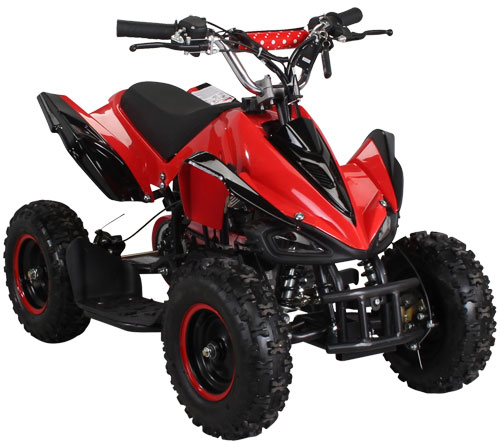 Mini Kinder ATV 49 cc Racer Mini Kinder ATV 49 cc Racer