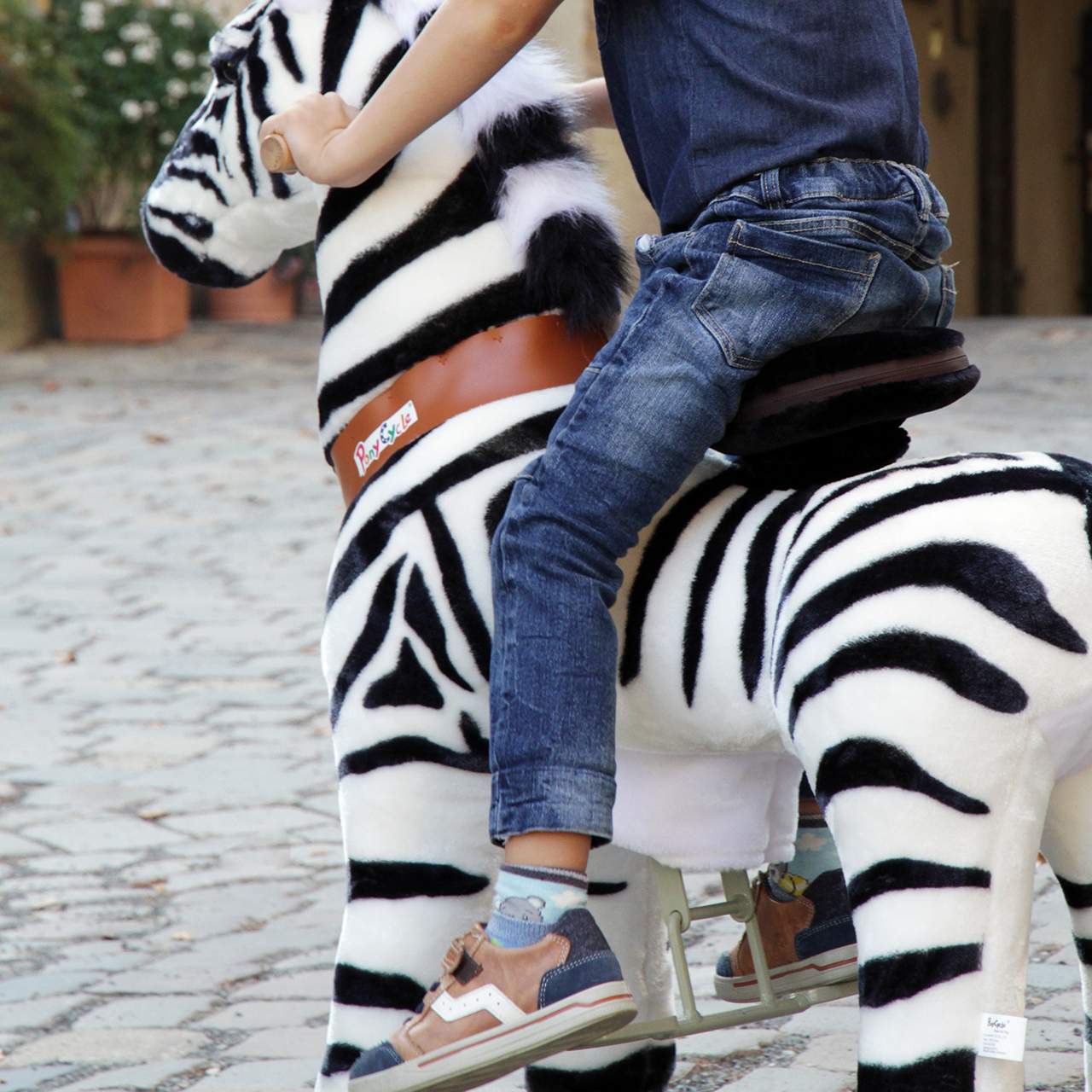 Ponycycle Ponycycle