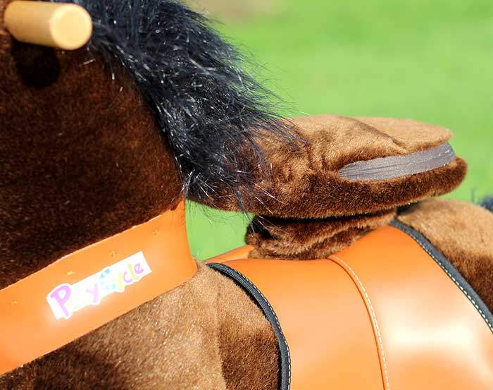 Ponycycle Ponycycle