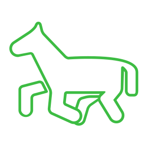 Ponycycle Ponycycle