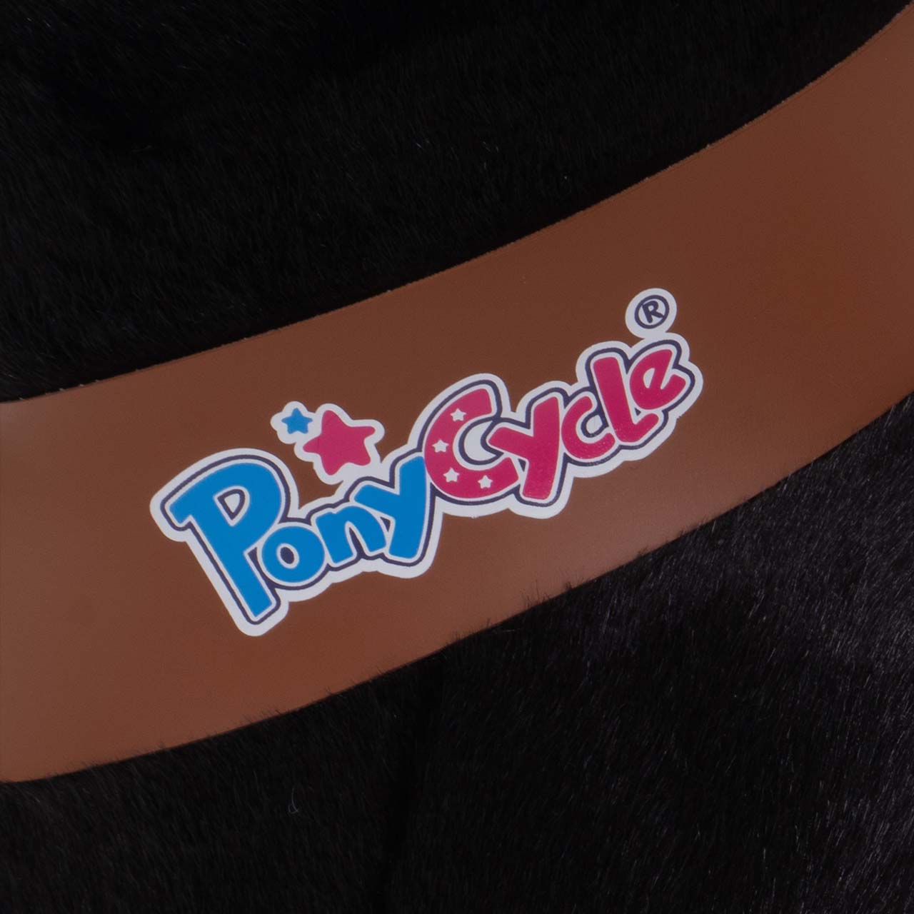 Ponycycle Ponycycle