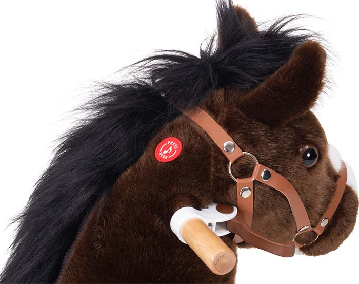 Ponycycle Ponycycle