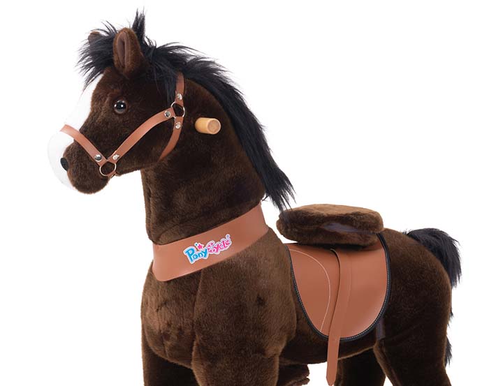 Ponycycle Ponycycle