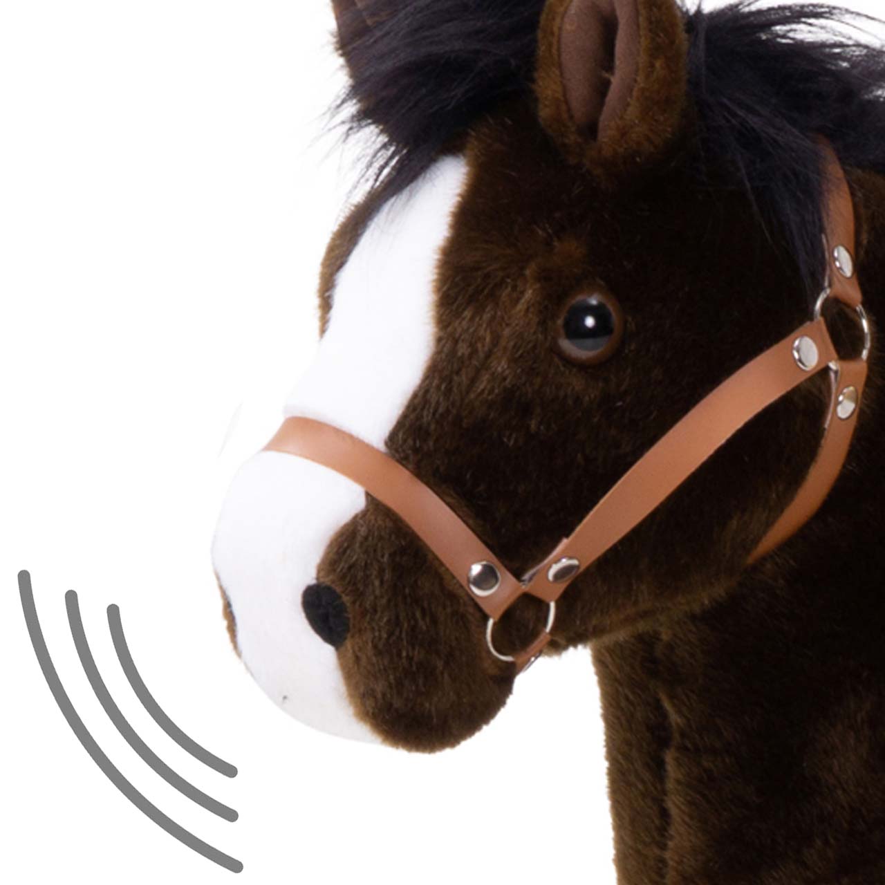 Ponycycle Ponycycle