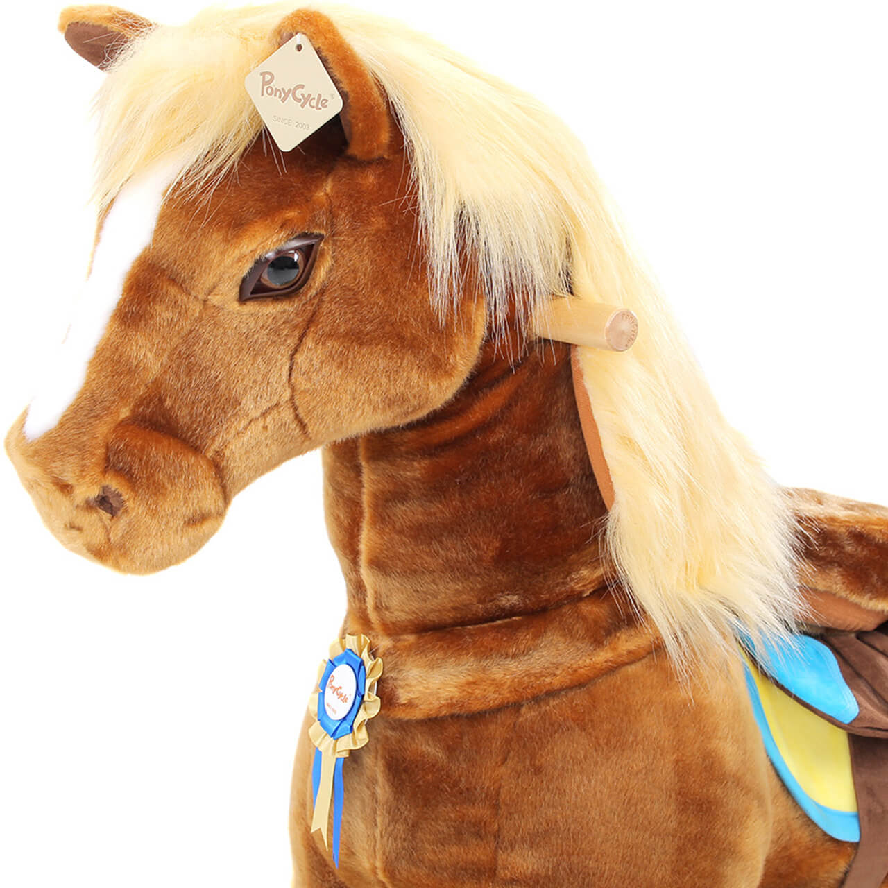 Ponycycle Ponycycle